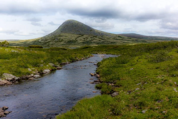 Rivière coulant dans le parc national de Rondane en Norvège - 2 — Photo