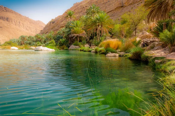 Das erfrischend kalte Wasser der Oase Wadi Bani Khalid in Oman — Stockfoto