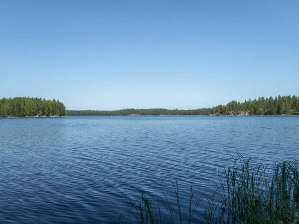 Pohled na divoký les na břehu jezera Saimaa — Stock fotografie