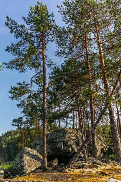 Glaciärerratiker täckta av mossa och lavar i Kolovesi Nat — Stockfoto