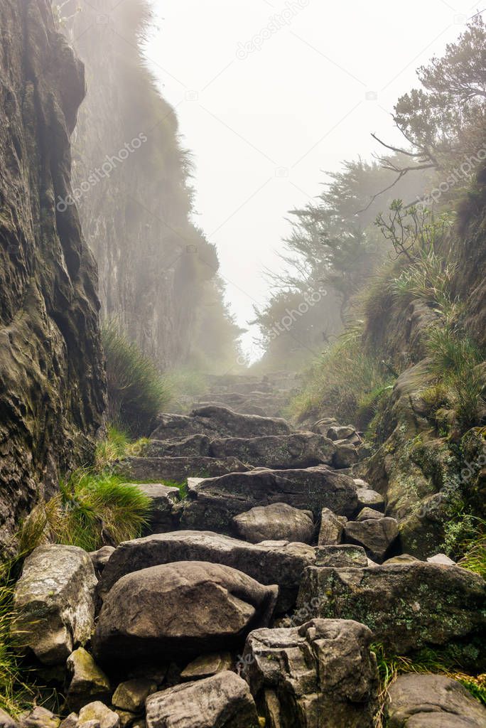 Passing a rock gorge with steep walls while hiking on Table Moun