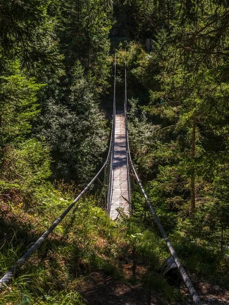 Ponte sospeso su un canyon in Svizzera — Foto Stock