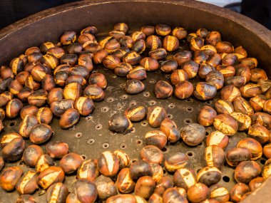 Nefis gümüşten kestaneler - 1