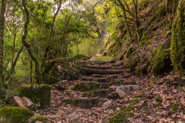 Korsika 'da dağlarda yürüyüş yaparken temel merdiven.