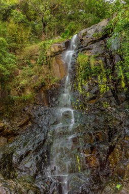 Hong Kong 'daki Victoria Tepesi' nde Şelale