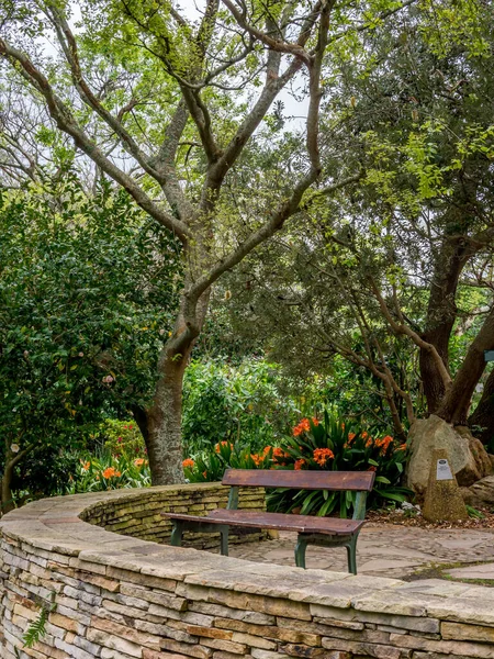 Cape Town 'da bir parkta sessiz bir köşe