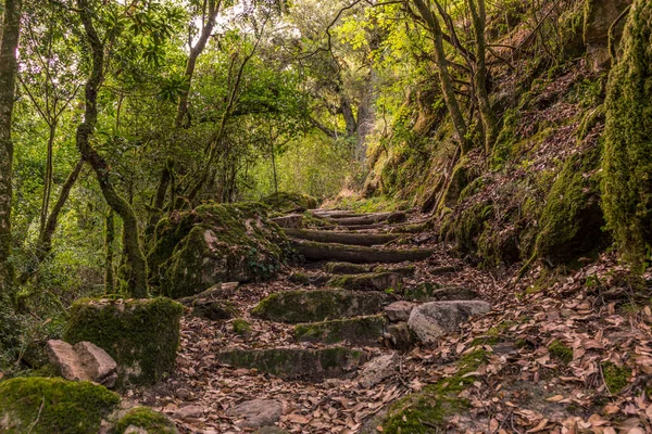 Korsika 'da dağlarda yürüyüş yaparken temel merdiven.
