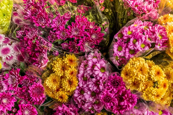 Букеты цветов на цветочном рынке Гонконга - 2 — стоковое фото