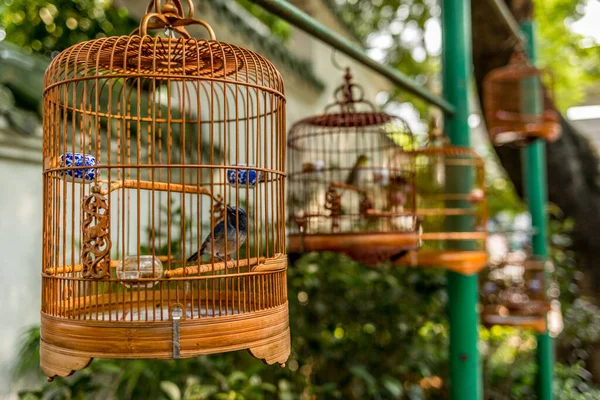 Aves em gaiolas penduradas no Bird Garden e no mercado em Yuen Po — Fotografia de Stock