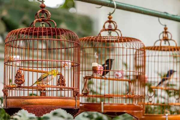 Aves em gaiolas penduradas no Bird Garden e no mercado em Yuen Po — Fotografia de Stock