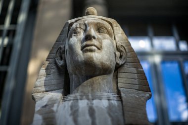 Chur İsviçre 'de bir parkta Sphynx - 2