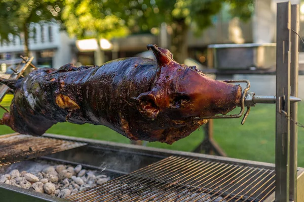 Parkta domuz kızartma (İtalyan "porchetta") - 1 — Stok fotoğraf