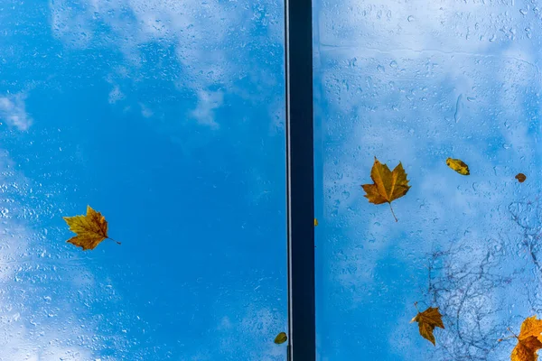 Foglie su una finestra di tetto in Londra in autunno - 1 — Foto Stock