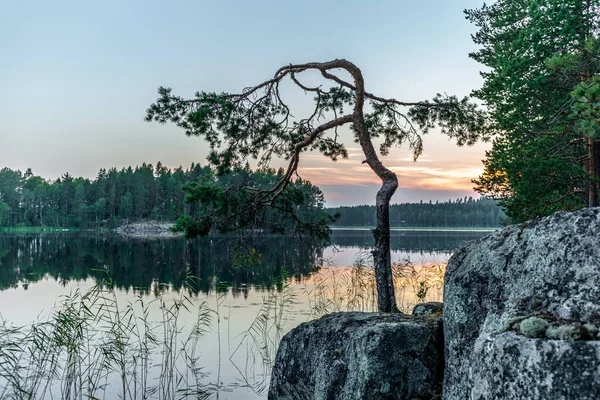 Zonsondergang aan de oevers van het kalme Saimaa meer in de Kolovesi Nat — Stockfoto