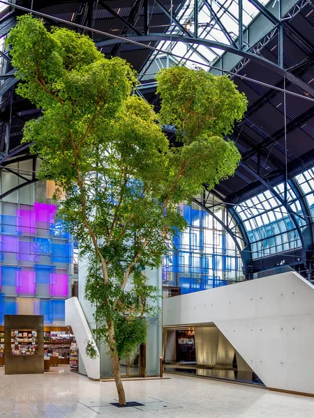 Incredibile albero singolo che cresce all'interno della Oslo colorato, moderno tra — Foto Stock