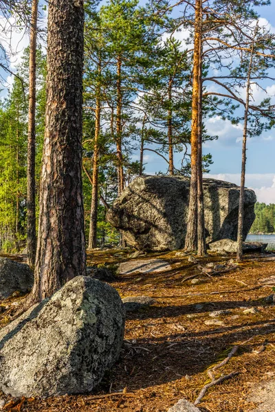 Gletscherfindlinge mit Moos und Flechten in der kolovesi nat bedeckt — Stockfoto