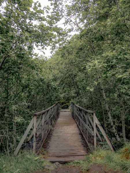 Puente en una caminata a lo largo del Naerofjord en Noruega — Foto de Stock