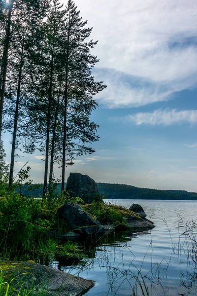 Der ruhige, wilde Wald am Ufer des Saimaa-Sees im Kol — Stockfoto