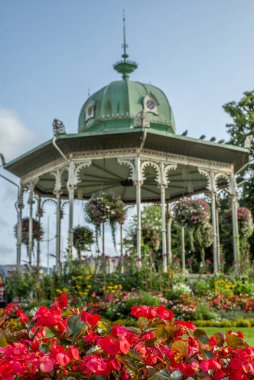Sonbaharda Norveç 'in Bergen şehrinin merkezinde çiçeklerle kaplı bir çardak.
