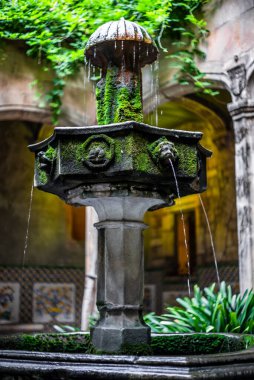 Yaz boyunca Barselona 'da yosun kaplı sokak çeşmesinin ayrıntıları