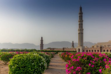 Muscat Büyük Camii 'nin geometrik güzelliği ve sabahın erken saatlerinde bahçe.