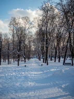 Moskova 'da karda park et.