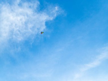 Sonbaharda Hollanda 'daki Ameland adasının gökyüzünde yalnız bir uçurtma uçuyor.