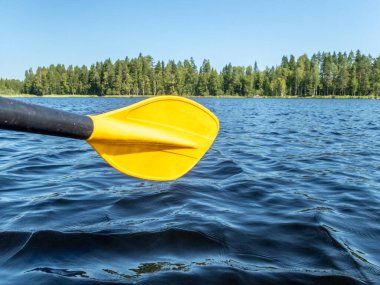 Finlandiya 'daki sakin Saimaa gölünde kanoya binmek