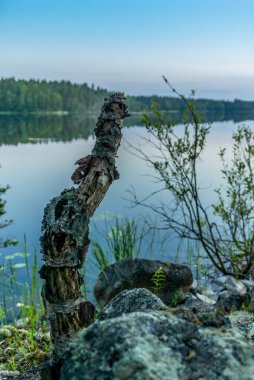 Finlandiya 'daki Kolovesi Ulusal Parkı' nda Saimaa gölünün sakin kıyılarında gün batımı