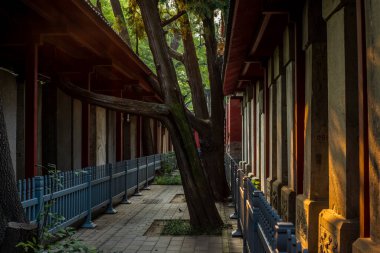Sonbaharda Pekin 'de Konfüçyüs Tapınağı' nın renkli köşkünde ağaçlar.