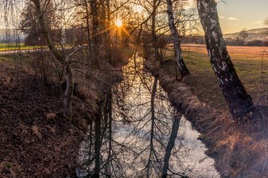 Ağaçlar küçük gölde yansıyor