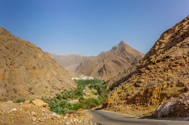 Oman 'da uzak bir belde ve sağlam hurma ağaçları vardır.