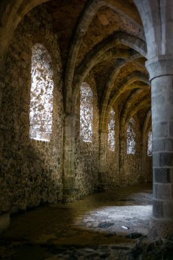 beautiful antique cellar in Swiss winery