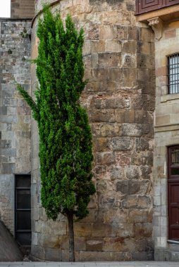 Sabahları Barcelona 'nın Gotik semtinde sessiz dar bir sokakta.