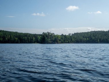 Finlandiya 'daki Kolovesi Milli Parkı' ndaki Saimaa Gölü kıyılarındaki vahşi orman manzarası