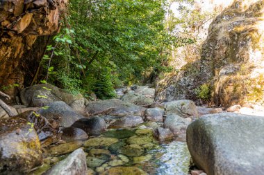 Korsika 'daki dağlarda kanyonun içinde