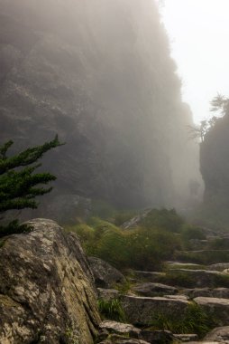 Cape Town 'daki Masa Dağı' nda yürürken dik duvarları olan kaya geçidini geçiyoruz.