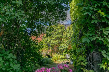 Oyuncak örümcek ve ağ bahçede Suomenlinna adasında