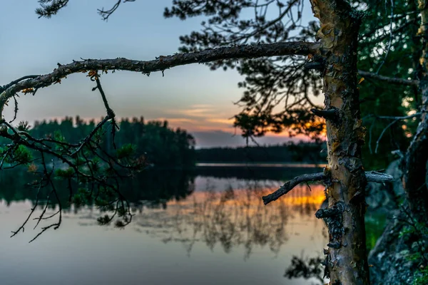 Finlandiya 'daki Kolovesi Ulusal Parkı' nda Saimaa gölünün sakin kıyılarında gün batımı