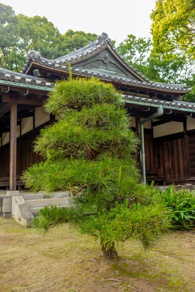 Beaux Arbres Dans Jardin Palais Impérial Tokyo — Photo