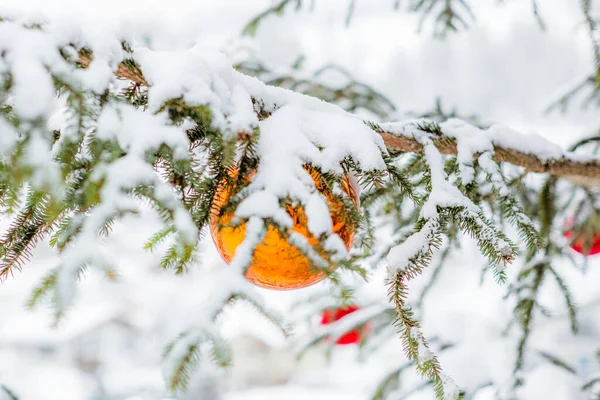 Noel Ağacında Cam Takılar — Stok fotoğraf
