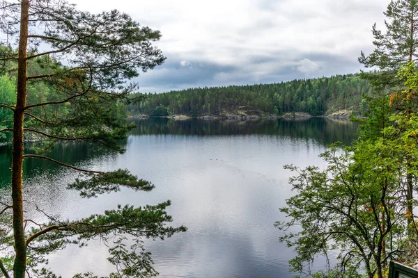Cichy Las Brzegu Jeziora Saimaa Parku Narodowym Kolovesi Finlandii — Zdjęcie stockowe