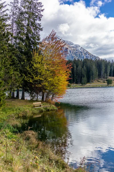 秋天高山湖中的五彩缤纷的树木 — 图库照片