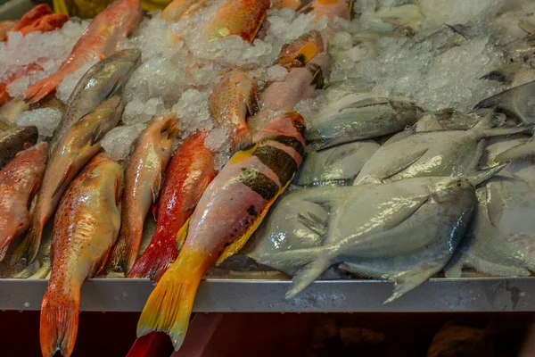 Haufen Bunter Frischer Fische Auf Dem Nassen Singapore Markt Der — Stockfoto