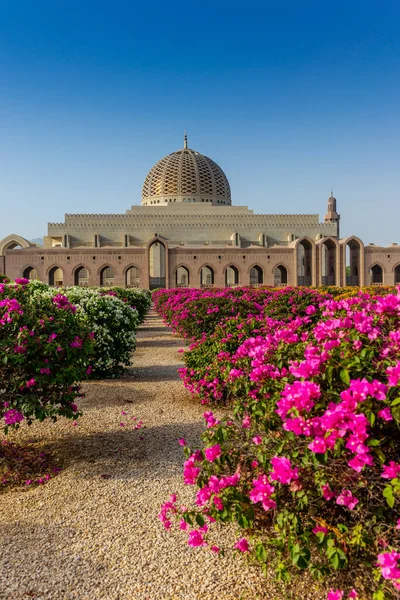 Muscat Büyük Camii 'nin geometrik güzelliği ve sabahın erken saatlerinde bahçe.