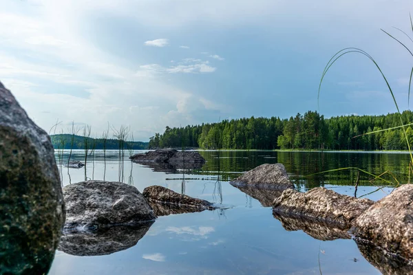 Тихий Дикий Лес Берегу Озера Сайма Национальном Парке Коловеси Финляндии — стоковое фото