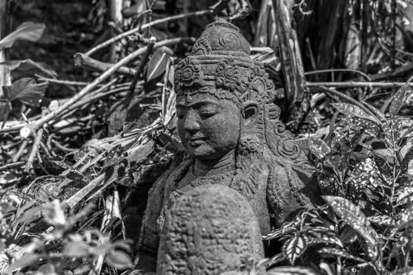 香港の森の中の仏像 — ストック写真