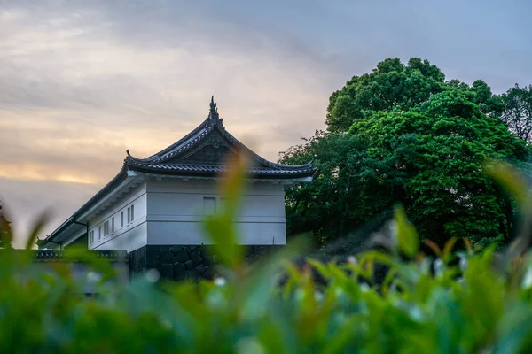 Blick Auf Die Mauern Der Kaiserlichen Gärten Tokio Bei Sonnenuntergang — Stockfoto