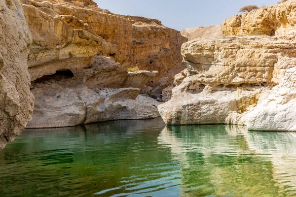 オマーンの岩の多い砂漠の水の流れは ワディ ハリドのオアシスに峡谷を流れる — ストック写真