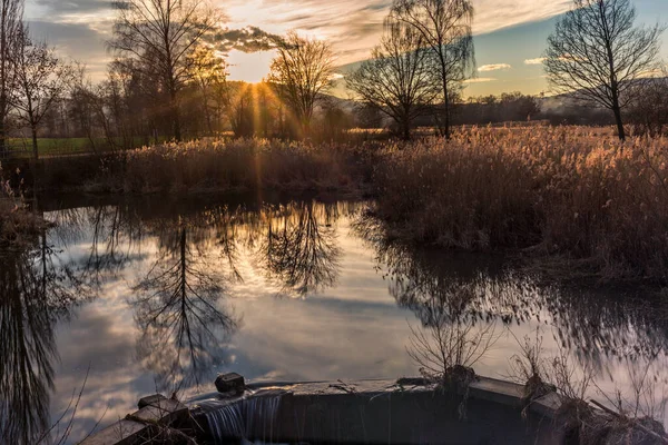 Árvores Reflexões Pequeno Lago — Fotografia de Stock